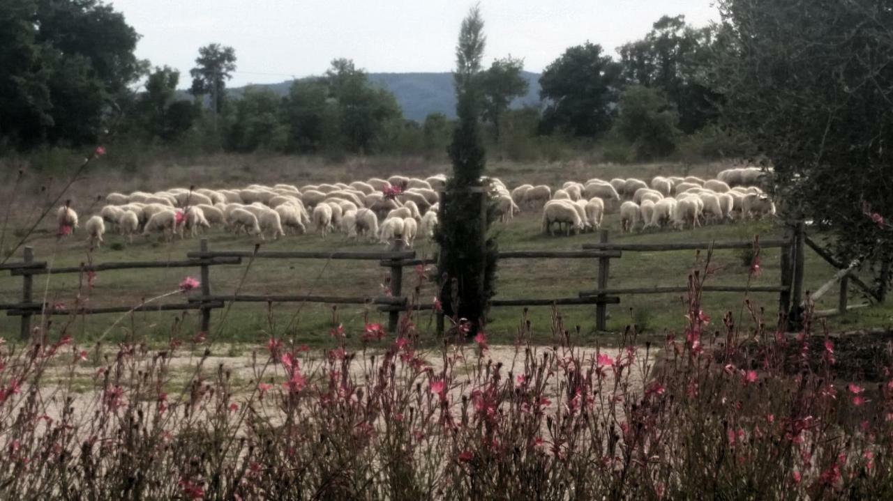 Maremma Country Chic Le Ginestre Villa Sovana Kültér fotó