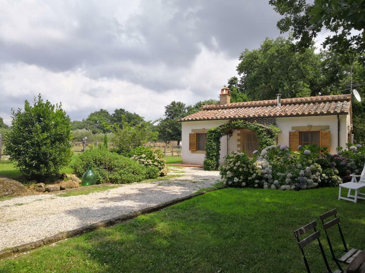 Maremma Country Chic Le Ginestre Villa Sovana Kültér fotó